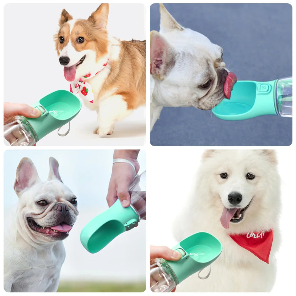 Bebedouro Automático de Bolso para Cães